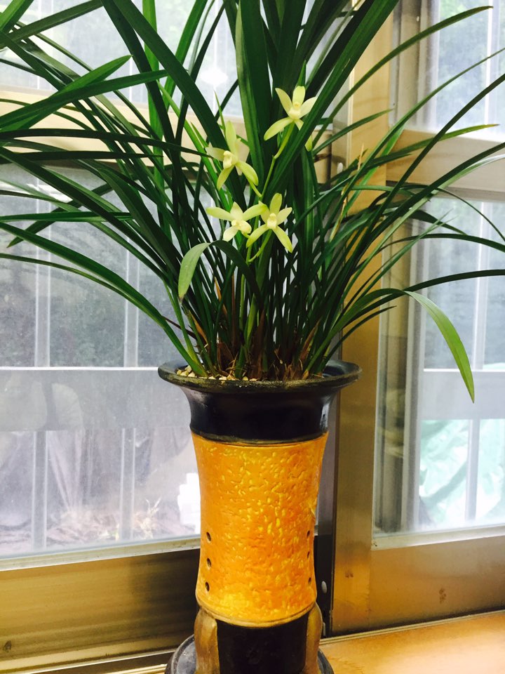 KakaoTalk_20160825_093827222.jpg